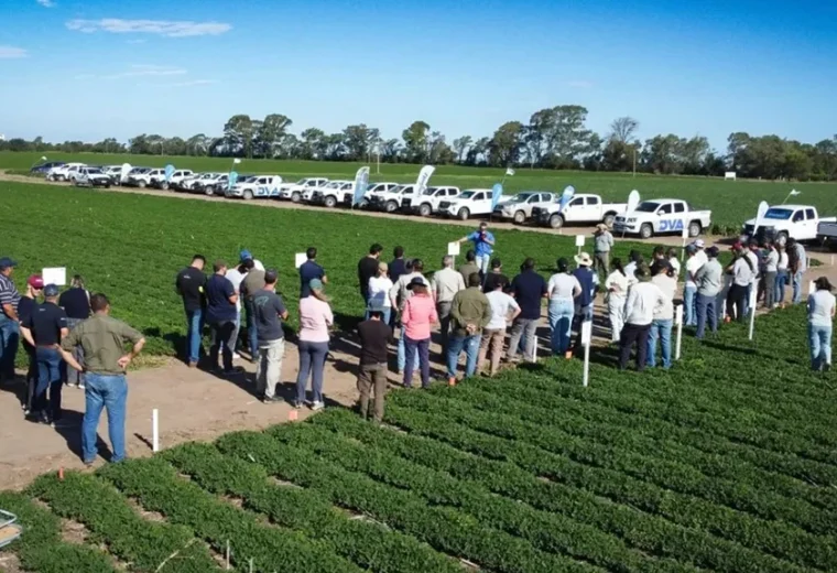 Gastaldi Lanza su Centro de Innovación Agrícola para Optimizar Cultivos