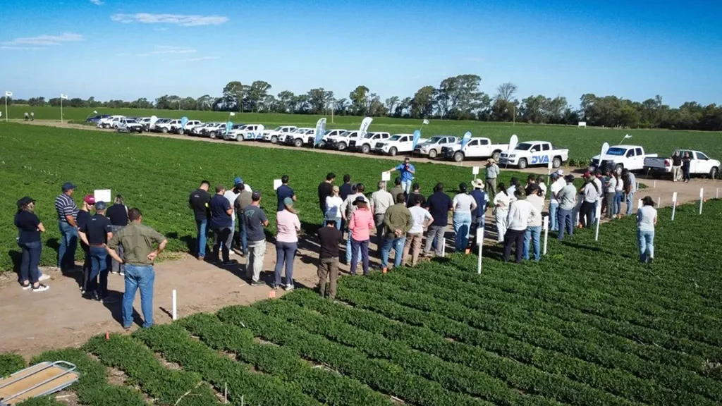 Gastaldi Lanza su Centro de Innovación Agrícola para Optimizar Cultivos