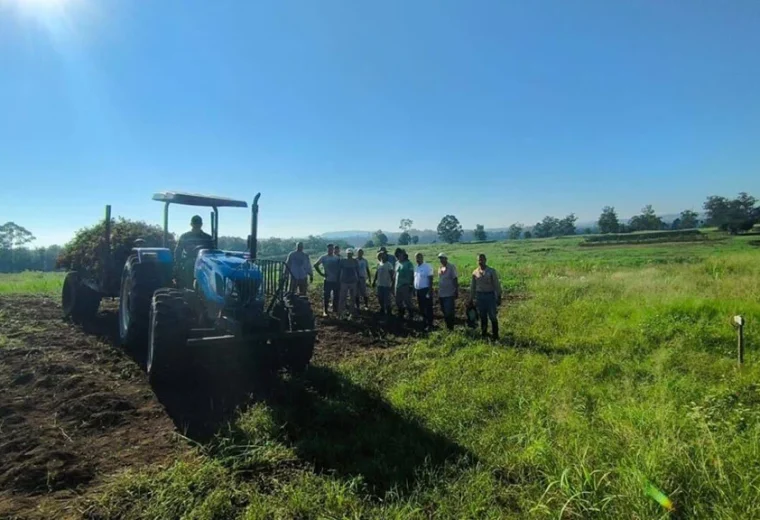 Nuevas Perspectivas para el Cultivo de Maní en Misiones