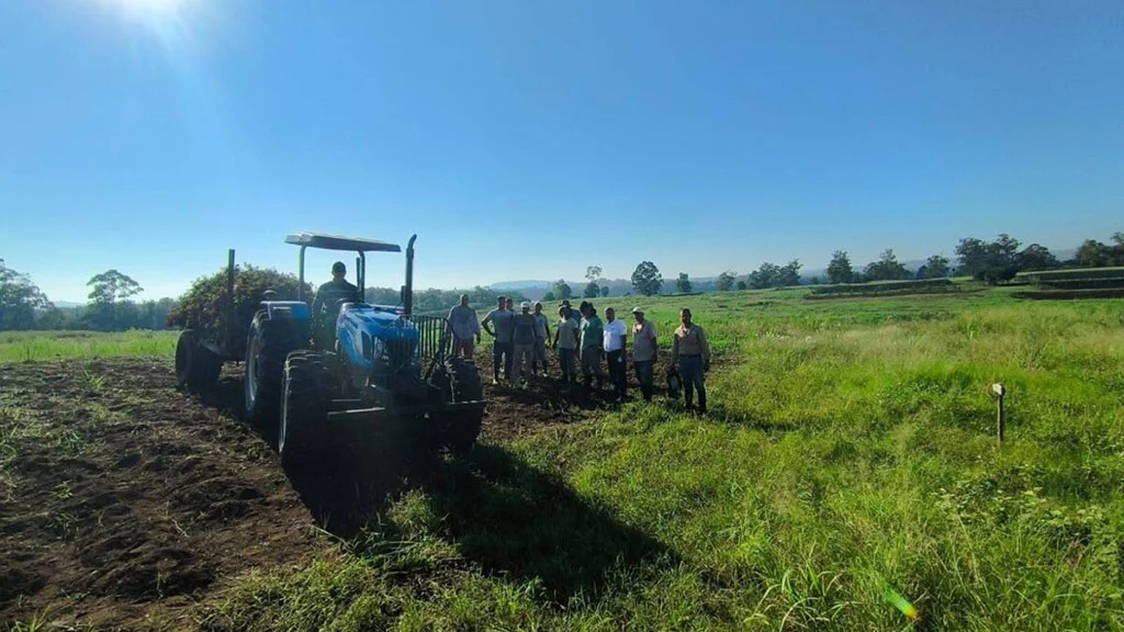 Nuevas Perspectivas para el Cultivo de Maní en Misiones
