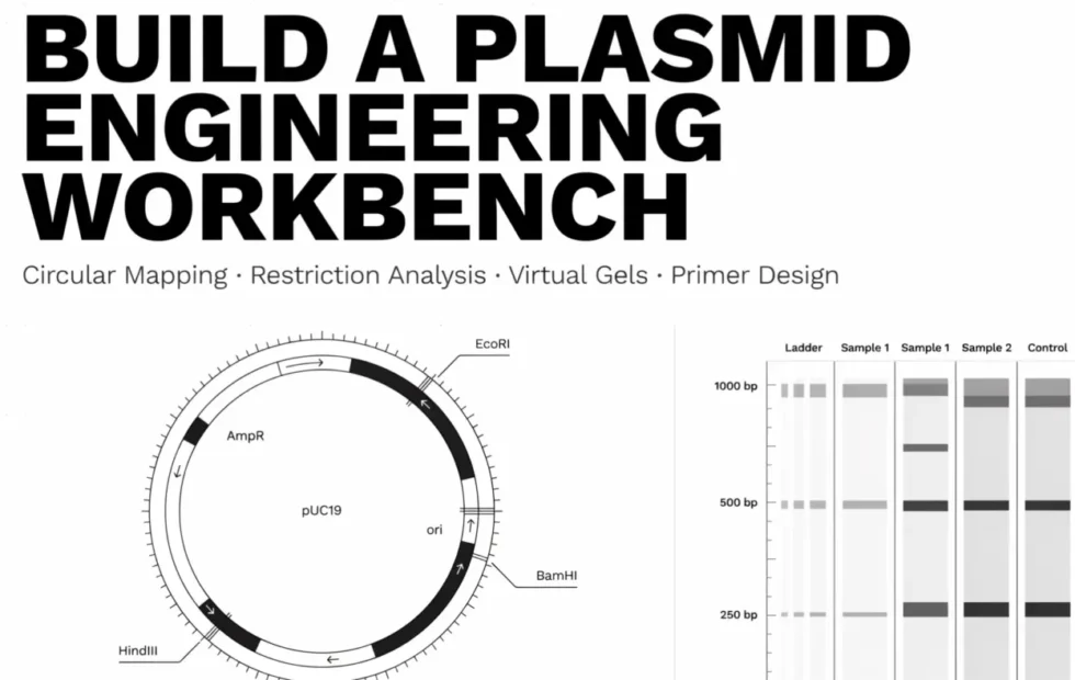 Cómo crear un entorno de trabajo para ingeniería de plásmidos en Google Colab