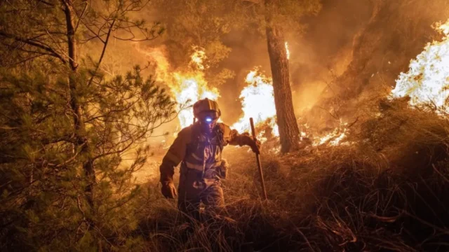 Incendios en España: cómo comunicar evacuaciones y sostener la información digital. Imagen destacada sobre incendios en España. publicada en Posicionamiento Web