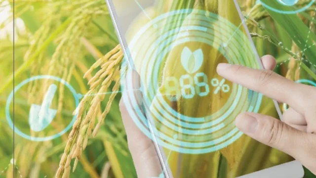 La nueva agroindustria argentina frente al desafío geopolítico global. Fotografía editorial relacionada con agroindustria argentina geopolítica. publicada en Posicionamiento Web