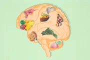 Polifenoles y demencia: qué alimentos favorecen la salud cerebral. Imagen destacada sobre polifenoles y demencia. publicada en Posicionamiento Web