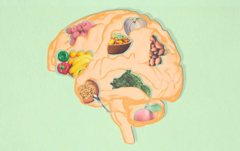 Polifenoles y demencia: qué alimentos favorecen la salud cerebral. Imagen destacada sobre polifenoles y demencia. publicada en Posicionamiento Web